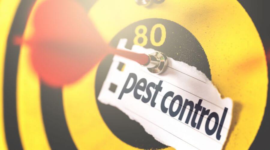 Professional german roach extermination valdosta ga services in Valdosta